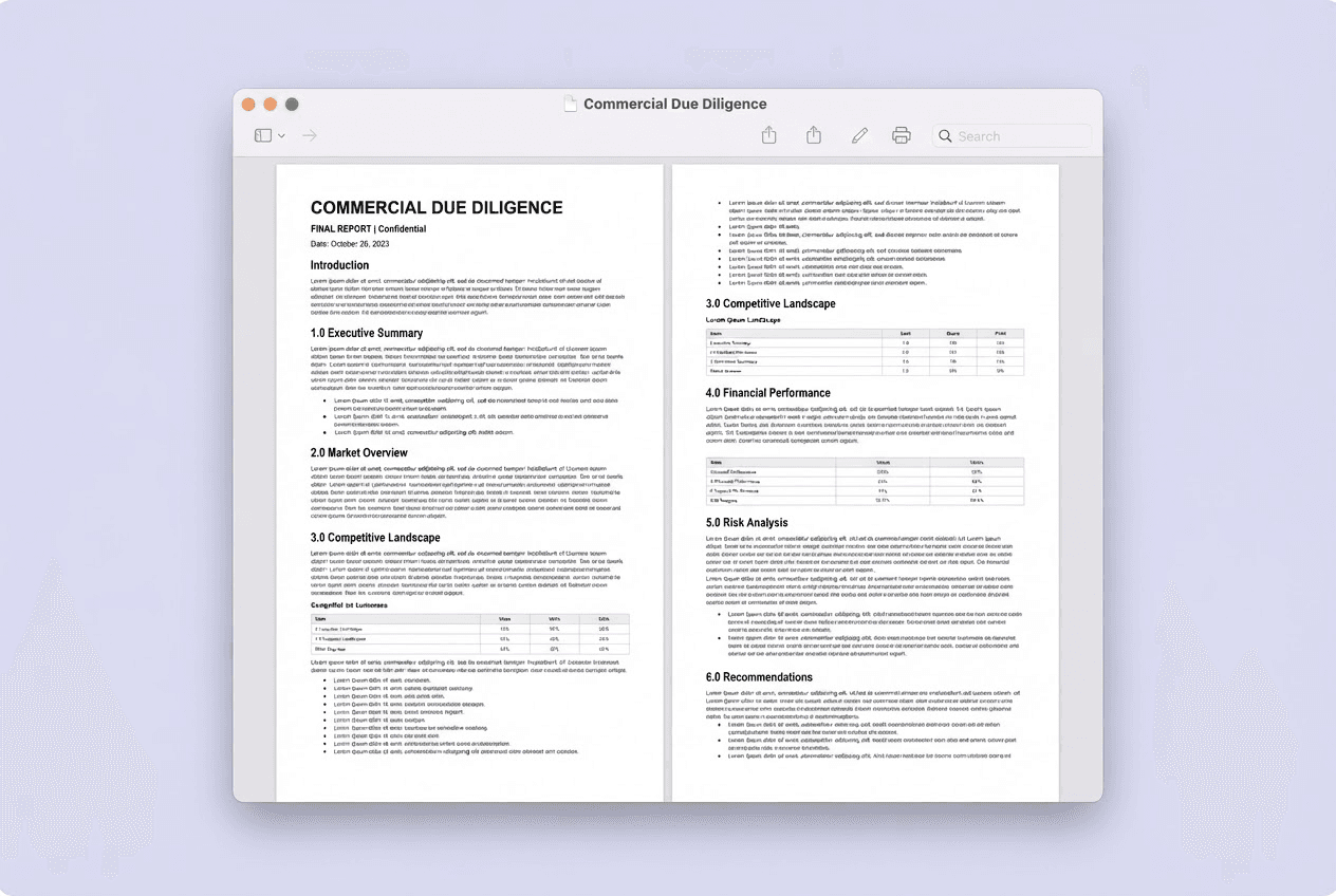 Beispielergebnis: Commercial Due Diligence